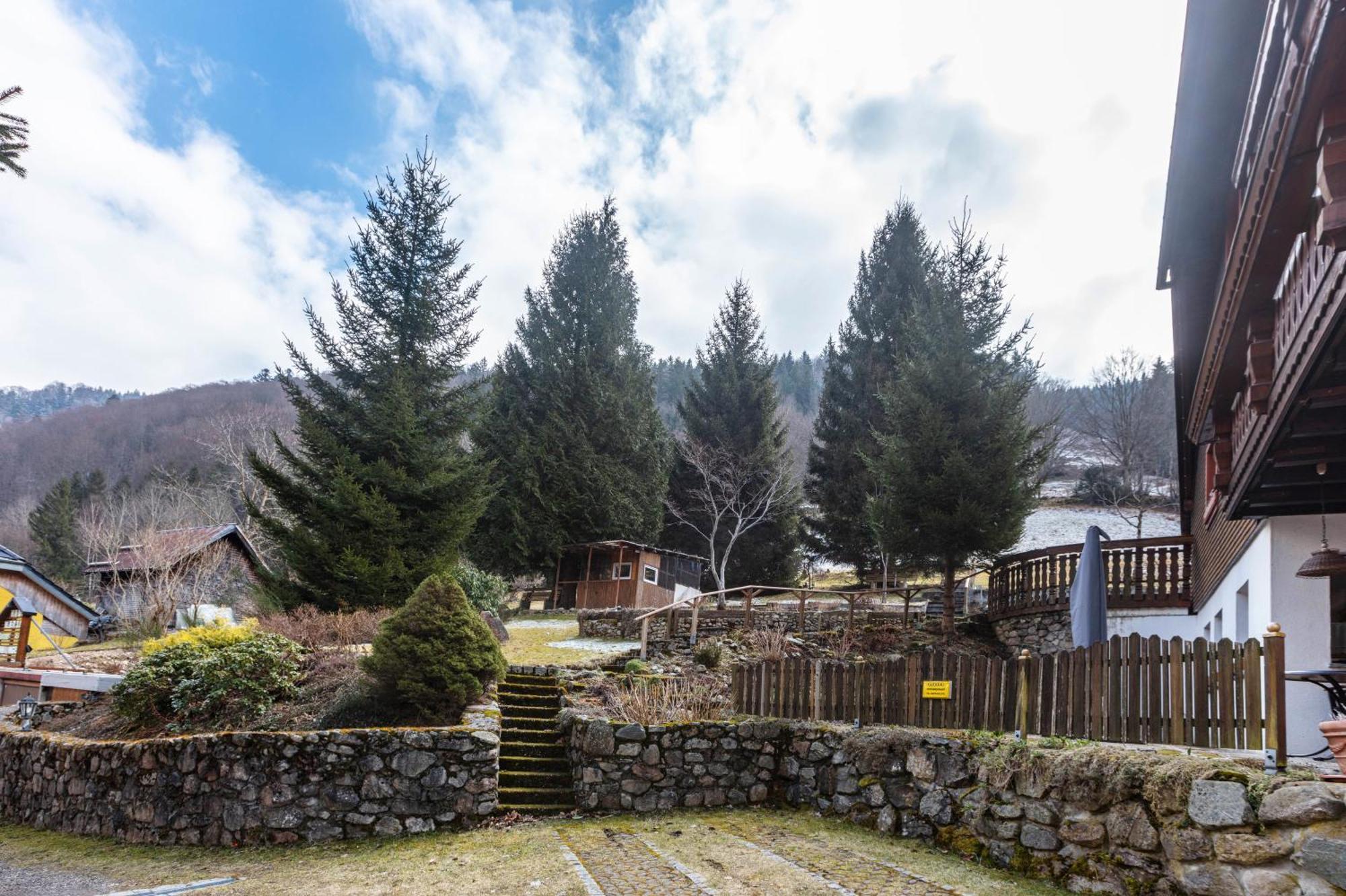 Haus Maria Apartment Todtnau